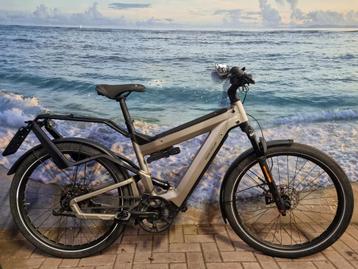 Riese Muller Superdelite Rohloff Nyon, 180-200cm, 45km//h beschikbaar voor biedingen
