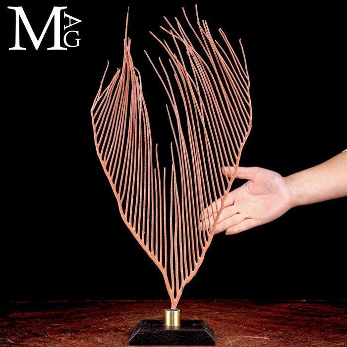 Prachtige rode Gorgonia op een houten en messing basis, Verzamelen, Mineralen en Fossielen