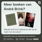 Other Side Of Silence 9780099442042 André Brink, Boeken, Verzenden, Gelezen, André Brink