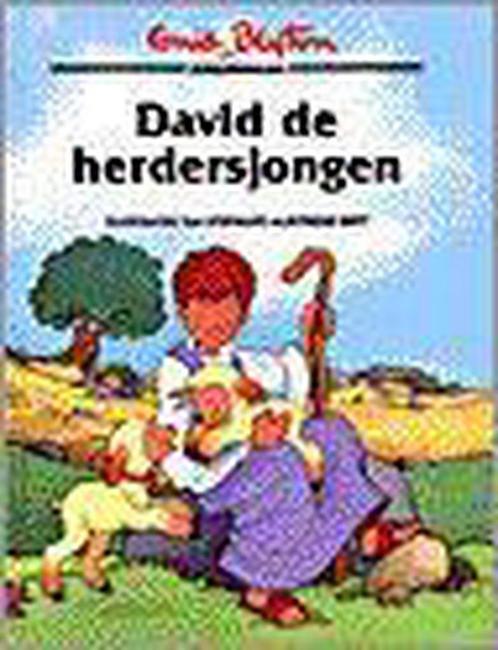 David de herdersjongen / Bijbelverhalen 9789026608964, Boeken, Overige Boeken, Gelezen, Verzenden