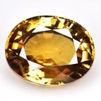 1 pcs Zirkoon - 17.84 ct - International Gemological, Nieuw