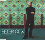 cd single - Peter Cox - Aint Gonna Cry Again, Zo goed als nieuw, Verzenden