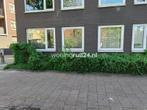 Woningruil - Turfsingel 23a - 1 kamer en Zuid-Holland, Huizen en Kamers, Zuid-Holland