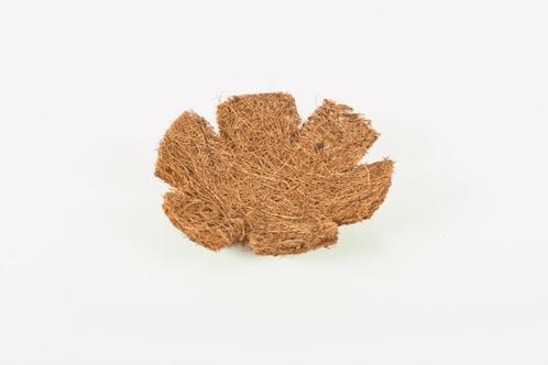 Inlegnest cocos 12 stuks - Nestmateriaal, Dieren en Toebehoren, Vogels | Toebehoren, Nieuw, Verzenden