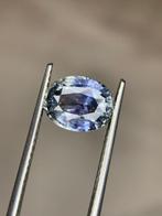 Zonder Minimumprijs - 1 pcs Saffier - 2.31 ct - nternational, Sieraden, Tassen en Uiterlijk, Edelstenen, Nieuw