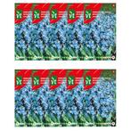 Bloemzaden vergeet-mij-nietje | VT | 10 stuks (Blauw), Verzenden