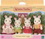 Sylvanian Families familie, Kinderen en Baby's, Ophalen of Verzenden, Zo goed als nieuw