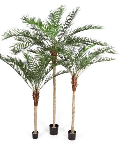 Kunstplant Phoenix Palm Plastic 210 cm, Huis en Inrichting, Kamerplanten