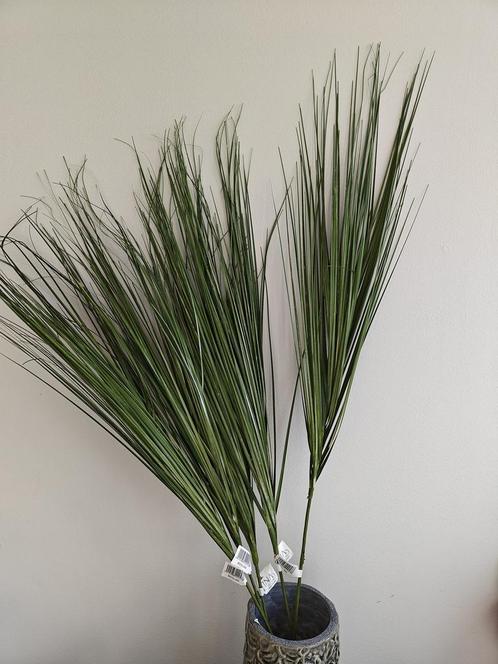 Actie Leuke Berengras toef op draad +/- 88cm. Berengras toef, Huis en Inrichting, Woonaccessoires | Kunstplanten en Kunstbloemen