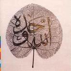 cd - The Sabri Brothers - Ya Habib, Verzenden, Zo goed als nieuw