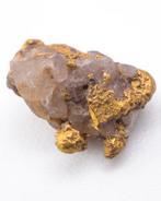 Goud Nugget met kwarts - Guyana - Hoogte: 9 mm - Breedte: 8