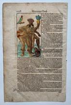 Sebastian Münster - Cosmographia - 1590, Antiek en Kunst