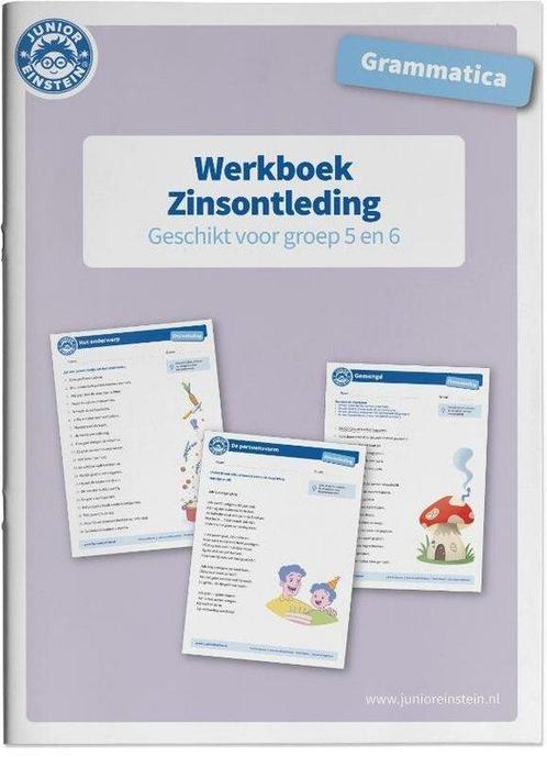 9789492265951 Zinsontleding Werkboek Grammatica voor groe..., Boeken, Schoolboeken, Nieuw, Verzenden