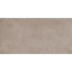 Aleluia Avenue - Taupe - Vloertegel - 30x60cm - Mat - P3047, 40 tot 60 cm, 40 tot 60 cm, Keramiek, Nieuw