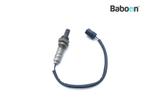 Lambda Sonde Honda XL 700 V Transalp 2008-2010 (XL700V RD13), Motoren, Onderdelen | Honda, Verzenden, Gebruikt