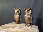 Beeld, Set of Two Iron Owls - 2.5kg - 16 cm - IJzer - 2025, Antiek en Kunst