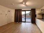 Studio Mockstraat in Maastricht, Overige soorten, Limburg