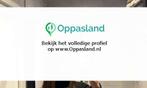 Ik ben Rowena, 19 jaar oud en ik zoek oppaswerk in Asten.