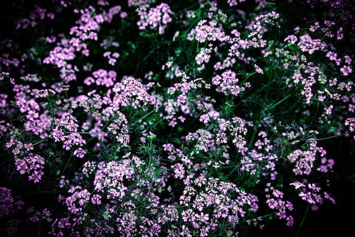 Viet Ha Tran - Night melody - XL, Antiek en Kunst, Kunst | Designobjecten