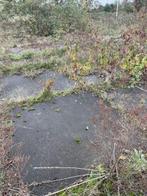 Gebruikte betonplaat 185x165x10 met hoeklijn B Keus..., Doe-het-zelf en Verbouw, Ophalen of Verzenden, Nieuw