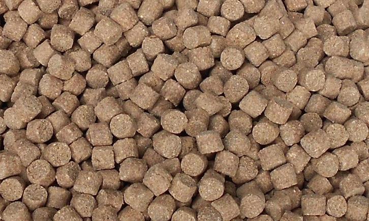 Zinkend koi karper voer 4,5 mm. 20kg. allseason pellets €50, Dieren en Toebehoren, Dierenvoeding, Vis, Ophalen of Verzenden