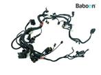 Kabelboom Ducati Monster 796 2009-2014 (M796)  (51017261A), Verzenden, Gebruikt