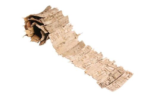 Berkenschors stroken op rol - l90 x b11 cm, Hobby en Vrije tijd, Knutselen, Nieuw, Ophalen of Verzenden