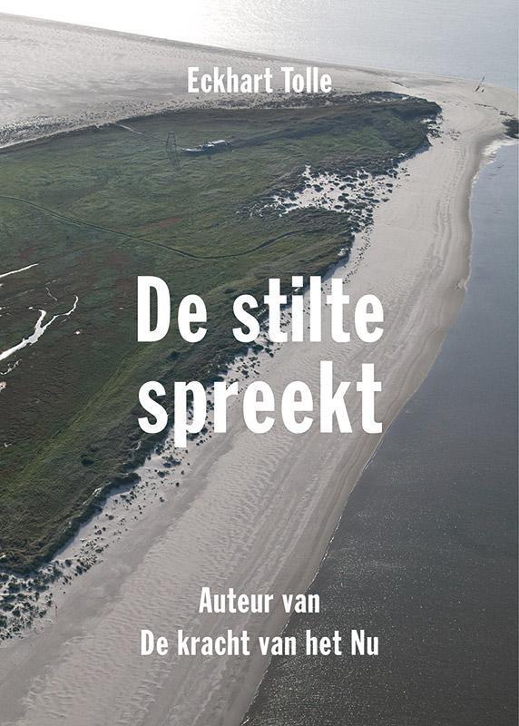 De stilte spreekt 9789020210385 Eckhart Tolle, Boeken, Esoterie en Spiritualiteit, Gelezen, Verzenden