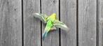 Parkiet Taxidermie volledige montage - Budgerigar, Verzamelen, Nieuw