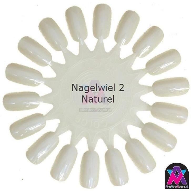 Nagelwiel nailart colourwheel  nagellak wiel display, Witgoed en Apparatuur, Persoonlijke-verzorgingsapparatuur, Hand- en Voetverzorging