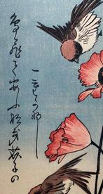 Sparrows and Poppies - Utagawa Hiroshige (1797-1858) -