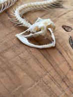 White-lipped Pit Viper Articulated Taxidermie volledige, Nieuw