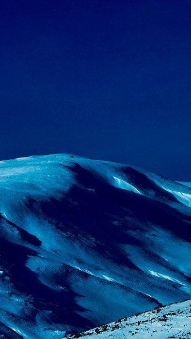 Agathe Toman - The Story of the blue Snow #002 - 3/15, Antiek en Kunst, Kunst | Designobjecten