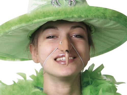 Halloween Heksenneus, Hobby en Vrije tijd, Feestartikelen, Nieuw, Verzenden