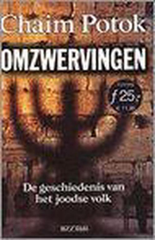 Omzwervingen 9789055016358 Chaim Potok, Boeken, Romans, Gelezen, Verzenden