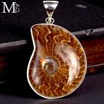 Jurassic Sieraden Sterling zilveren hanger met fossiele