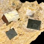 Hoge kwaliteit kubieke pyriet van de beroemde Spaanse, Verzamelen, Mineralen en Fossielen