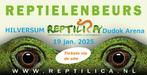 Reptilica reptielenbeurs HILVERSUM 19 januari 2025, Dieren en Toebehoren, Reptielen en Amfibieën