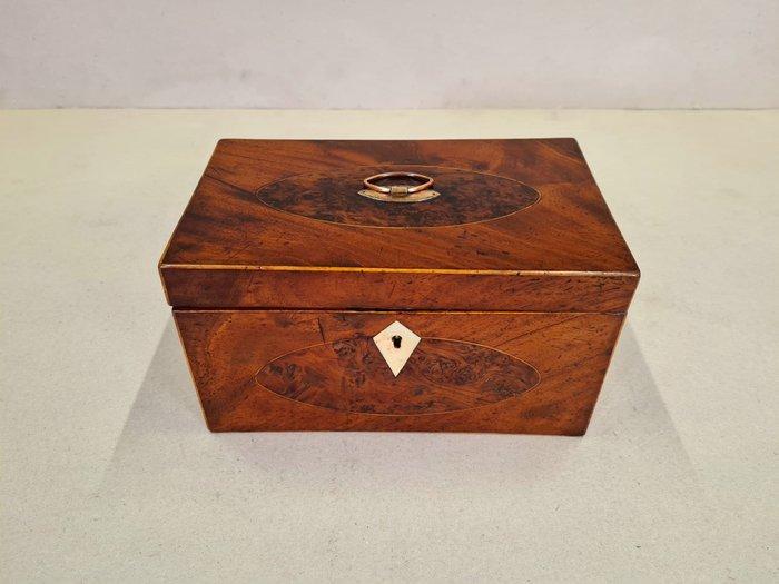 Theekistje / doosje - Mahonie, Taxus - FREE SHIPPING!!!, Antiek en Kunst, Antiek | Overige Antiek