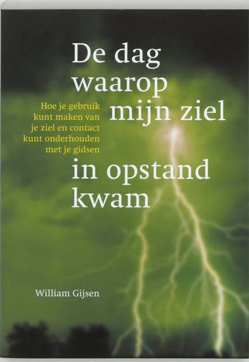 De dag waarop mijn ziel in opstand kwam 9789077247167, Boeken, Esoterie en Spiritualiteit, Gelezen, Verzenden