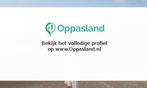 Nabiha zoekt een oppas in Den Bosch voor 2 kinderen.