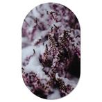 Muurovaal Winterflower - XS - 40 x 25 cm, Verzenden, Nieuw