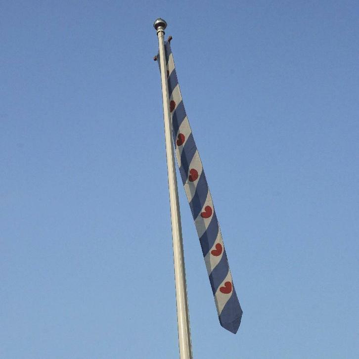 Wimpel fries A-kwaliteit, Tuin en Terras, Overige Tuin en Terras, Nieuw, Ophalen of Verzenden