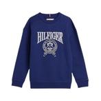 40% Tommy Hilfiger  Sweaters  maat 152, Kinderen en Baby's, Nieuw, Verzenden