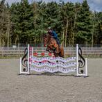 Hindernis Piano, Dieren en Toebehoren, Verzenden, Nieuw, Springen