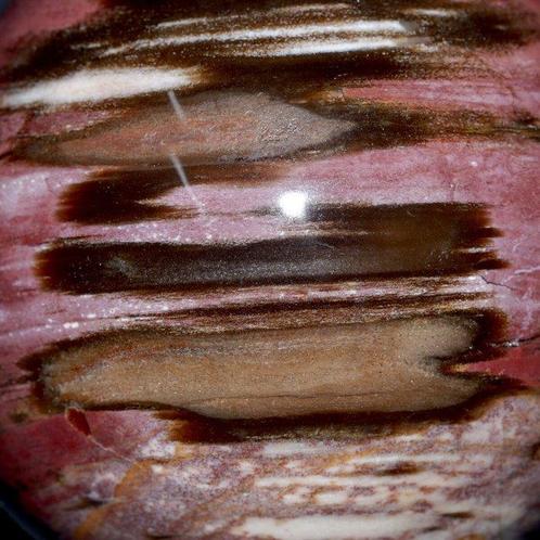 Fossiele houten bol uit Madagaskar. - Gefossiliseerd hout -, Verzamelen, Mineralen en Fossielen