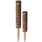 Mosstok kokosstok planten totems set 50 + 30 cm opbinden van, Ophalen of Verzenden, Nieuw