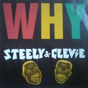 12 inch gebruikt - Steely &amp; Clevie - Why, Cd's en Dvd's, Vinyl Singles, Zo goed als nieuw, Verzenden