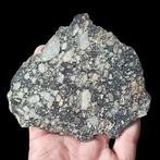 XXL MUSEUM authentieke meteoriet van de maan. Snede. NWA