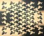 M.C. Escher (1898-1972) (after) - Infinity Fishes